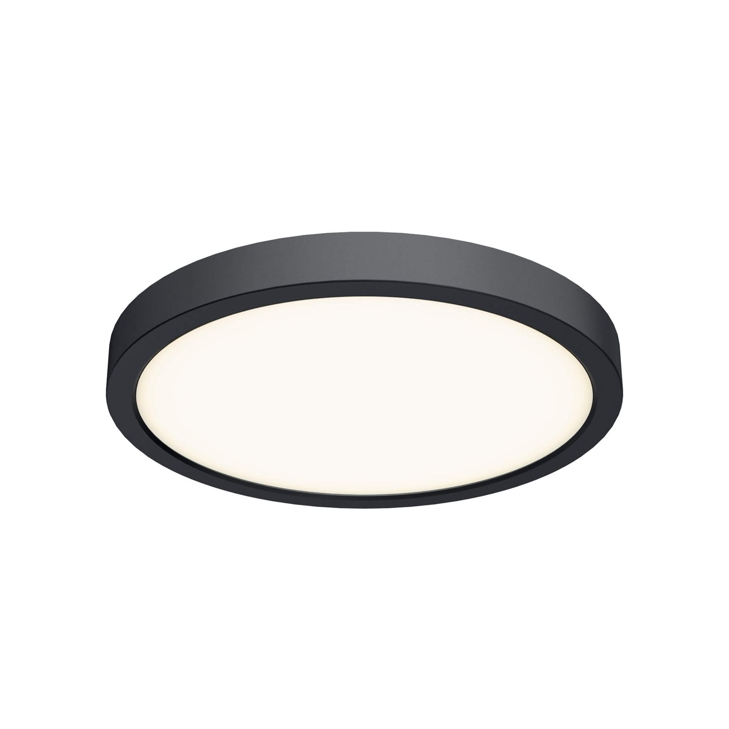 10 Inch Round Indoor/Outdoor LED Flush Mount