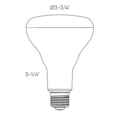 DCPro Smart BR30 LED Bulb